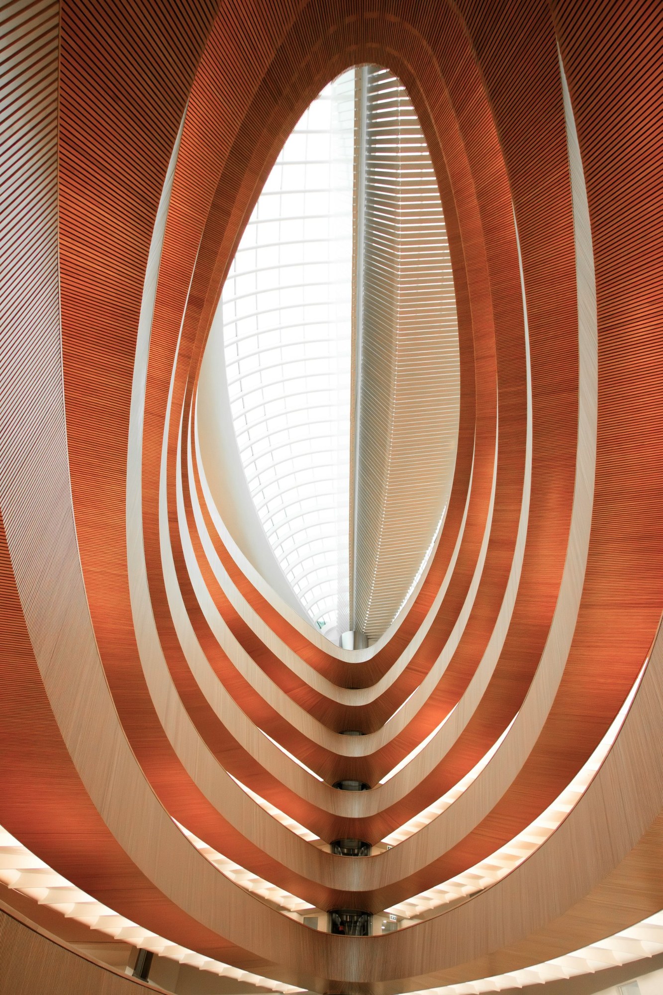 Looking up through an oval atrium of curved timber-clad ribbons toward a glazed roof.